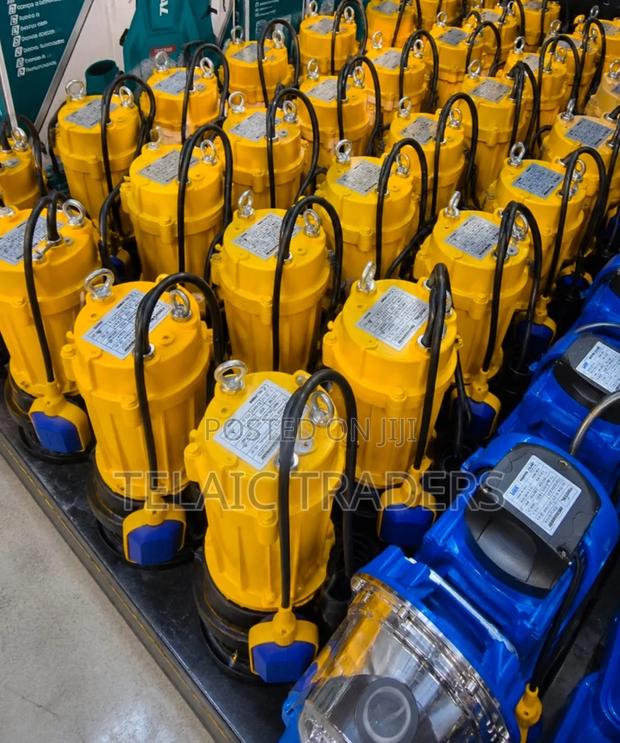 2hp Sewage Pump