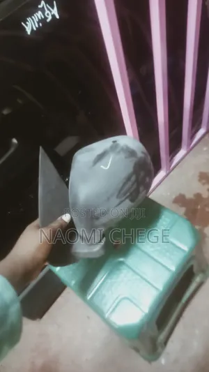 Suzuki Alto Sidemirror
