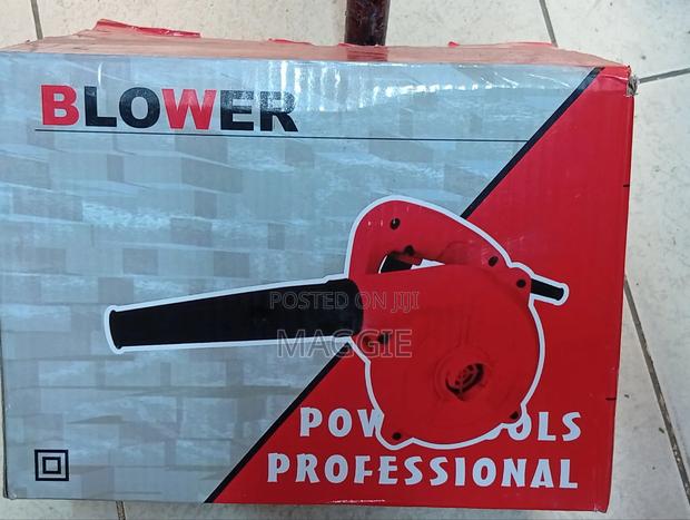 Blower Professional