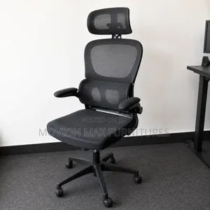 Ergonomic Design Arm Chairs