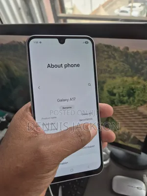 Samsung Galaxy A17 256 GB Silver