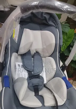 2 in 1 Gray Black Carry Coat Car Seat