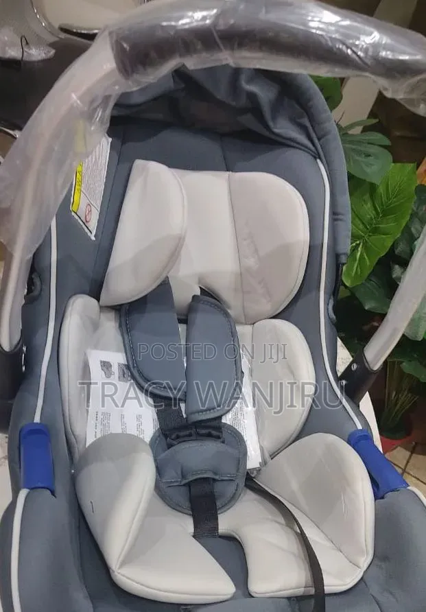 2 in 1 Gray Black Carry Coat Car Seat