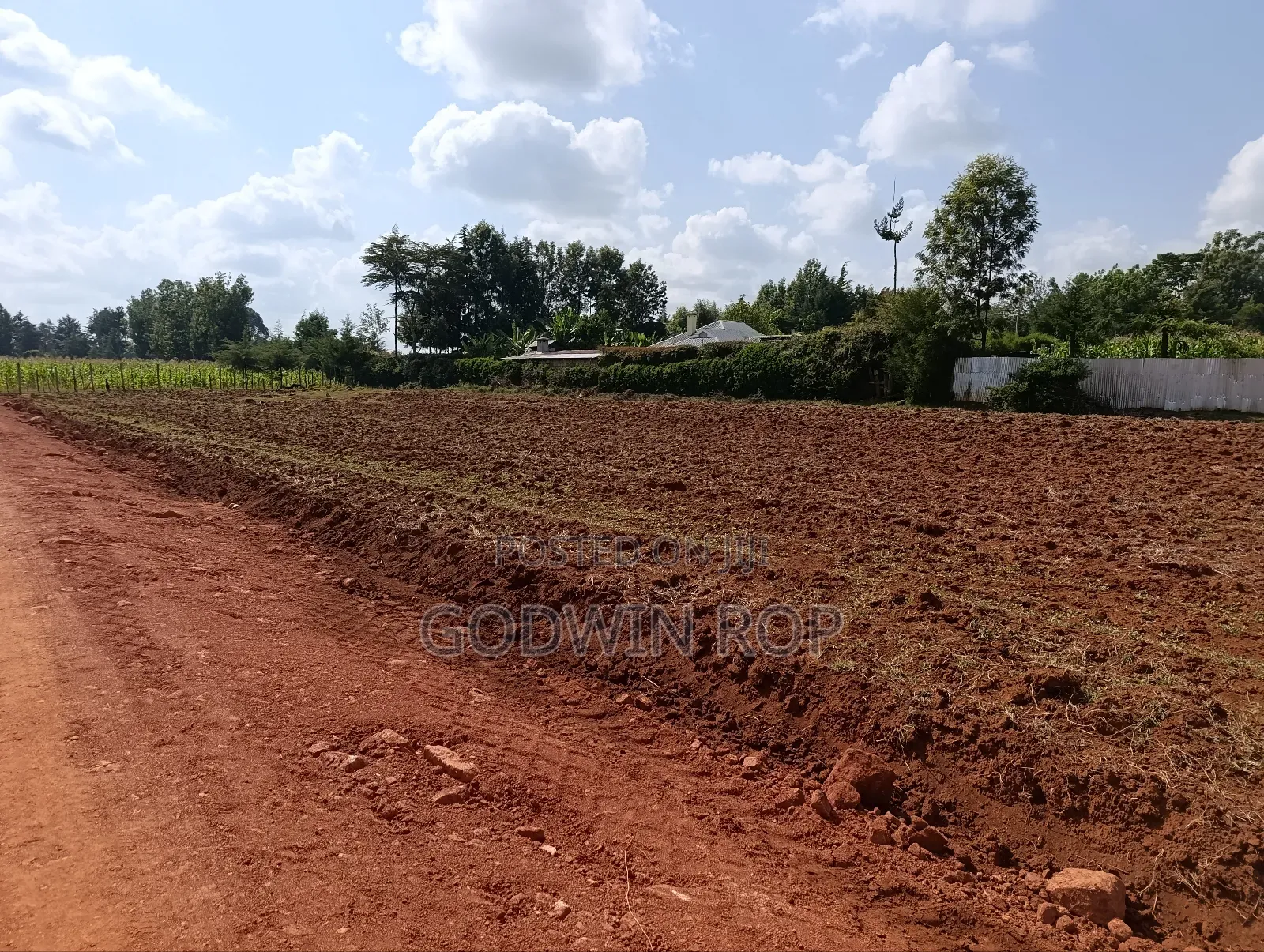 Prime Residential Plots for Sale in Chepkanga, Willow Tree Eldort