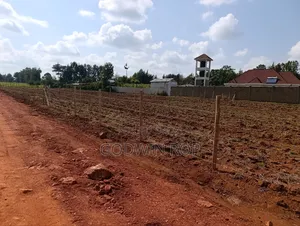 Prime Residential Plots for Sale in Chepkanga, Willow Tree Eldort