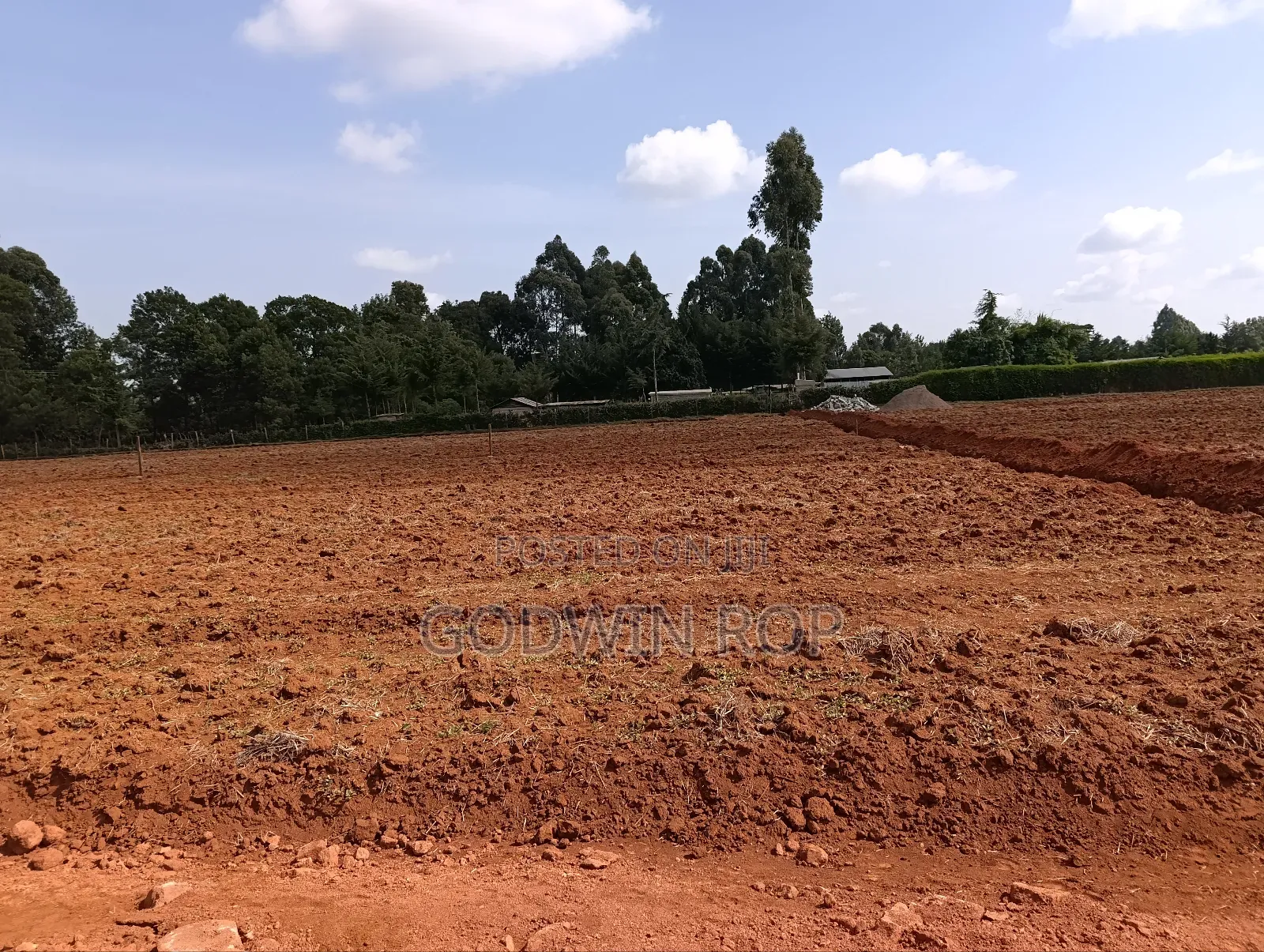 Prime Residential Plots for Sale in Chepkanga, Willow Tree Eldort