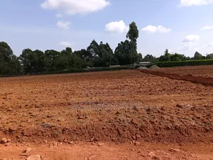 Prime Residential Plots for Sale in Chepkanga, Willow Tree Eldort