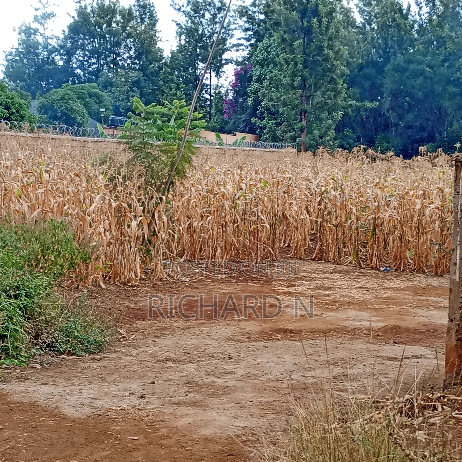 Prime 30x80 Plot for Sale at Dallas Embu