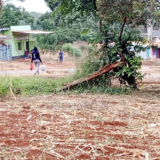 Prime 30x80 Plot for Sale at Dallas Embu - thumbnail 5