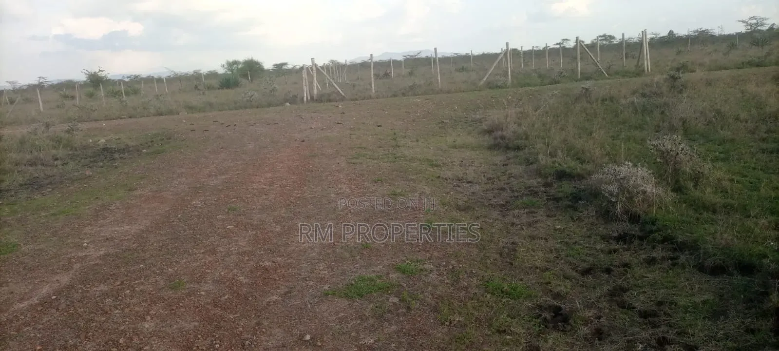 Nanyuki Plots for Sale