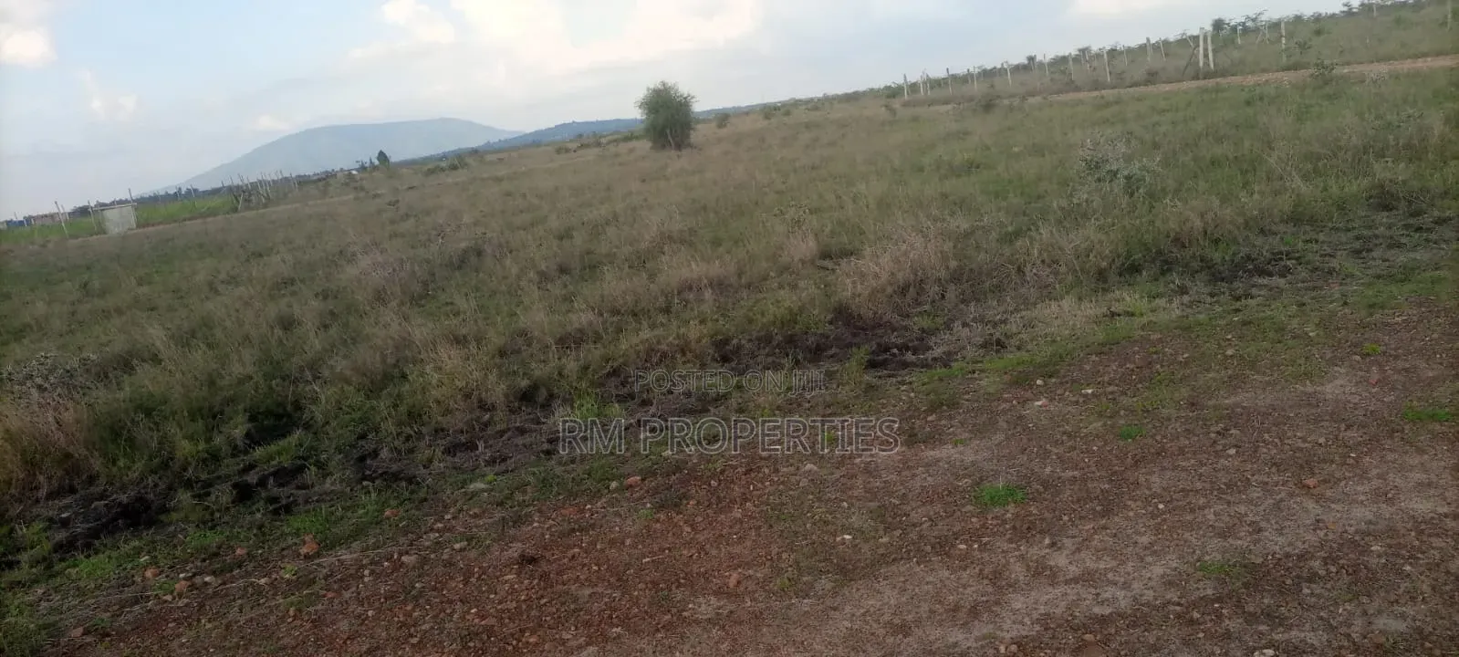 Nanyuki Plots for Sale