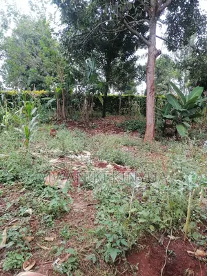 Land for Sale.