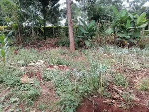 Land for Sale.
