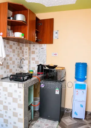 Furnished Studio Airbnb in Lake View for Rent
