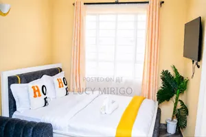 Furnished Studio Airbnb in Lake View for Rent