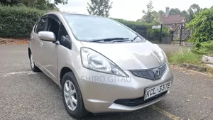 Honda Fit 2010 Gold