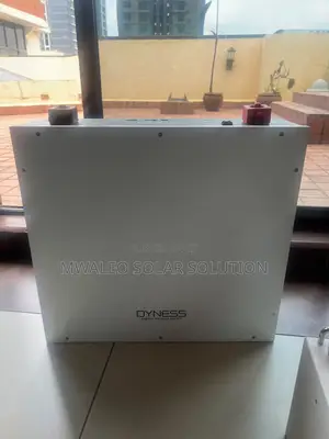 Dyness Energy Storage 100ah/51.2v 5.12kwh