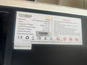 Dyness Energy Storage 100ah/51.2v 5.12kwh