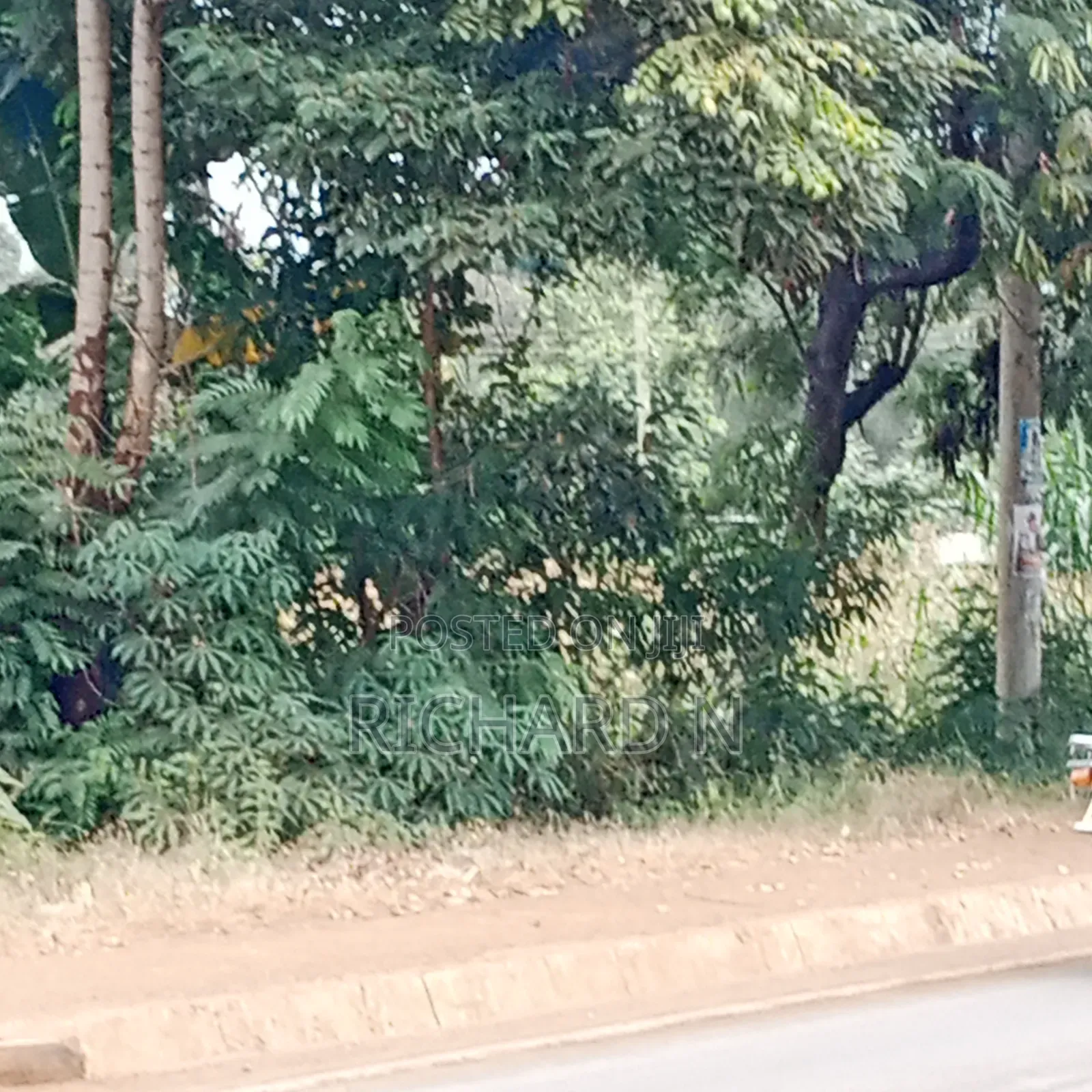 Prime 50x100 Plot for Sale at Blue Valley Sun Rise Estate Embu