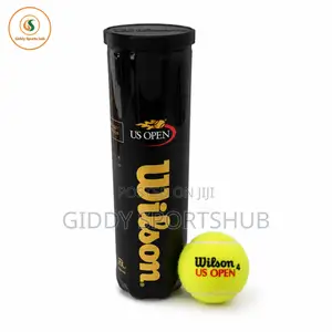 Wilson Us Open Championship Tennis Balls – 3 Ball Can