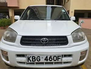 Toyota RAV4 2002 White