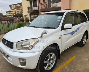 Toyota RAV4 2002 White
