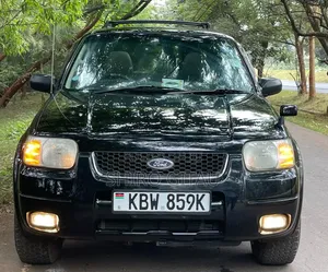 Ford Escape 2006 Green