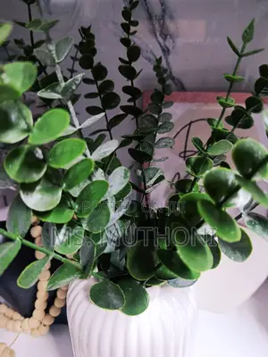 10 PCS Artificial Eucalyptus Stems
