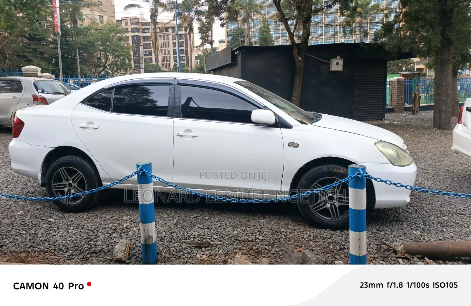 Toyota Allion 2010 Pearl