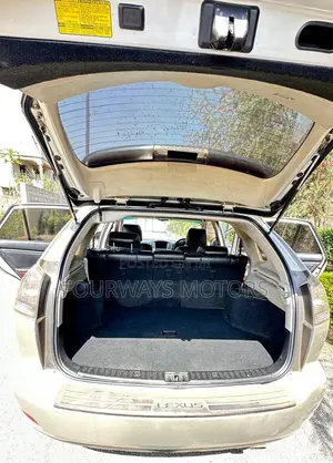 Lexus RX 2004 Silver
