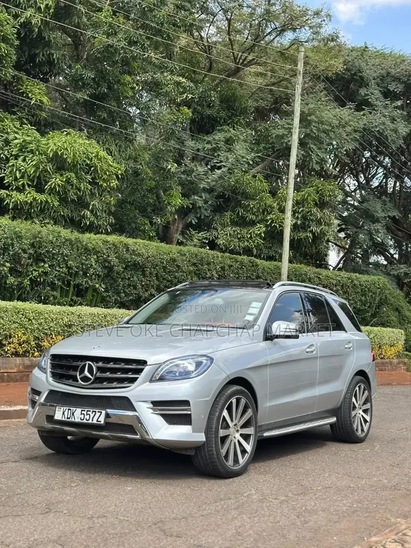 Mercedes-Benz M Class 2014 Silver