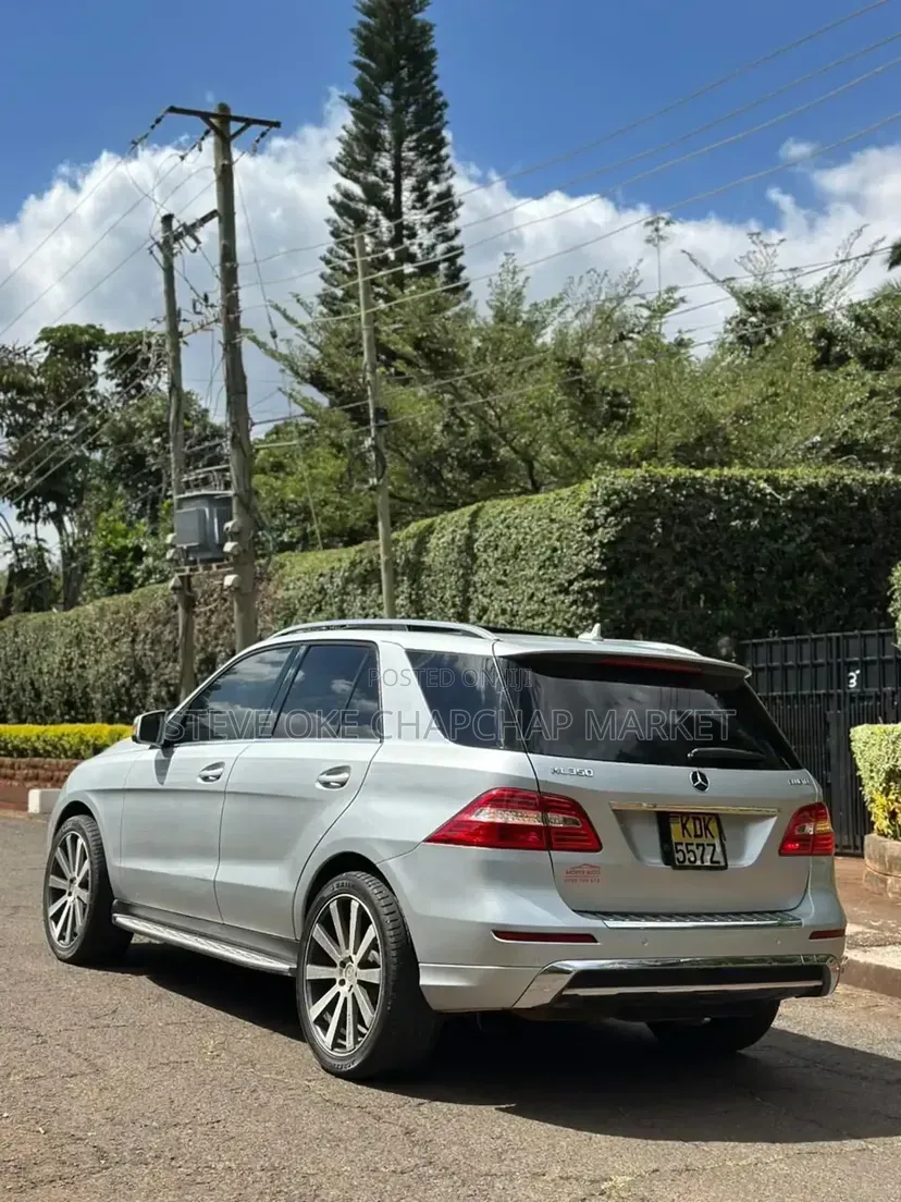 Mercedes-Benz M Class 2014 Silver