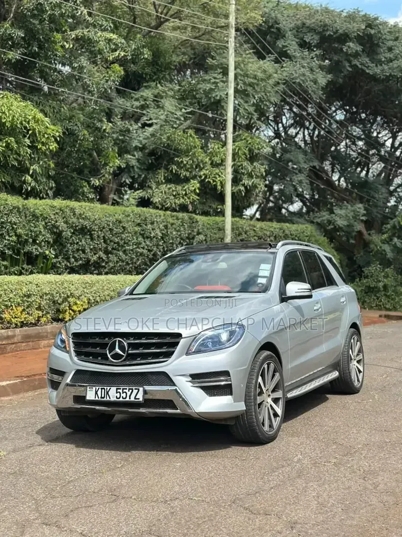 Mercedes-Benz M Class 2014 Silver