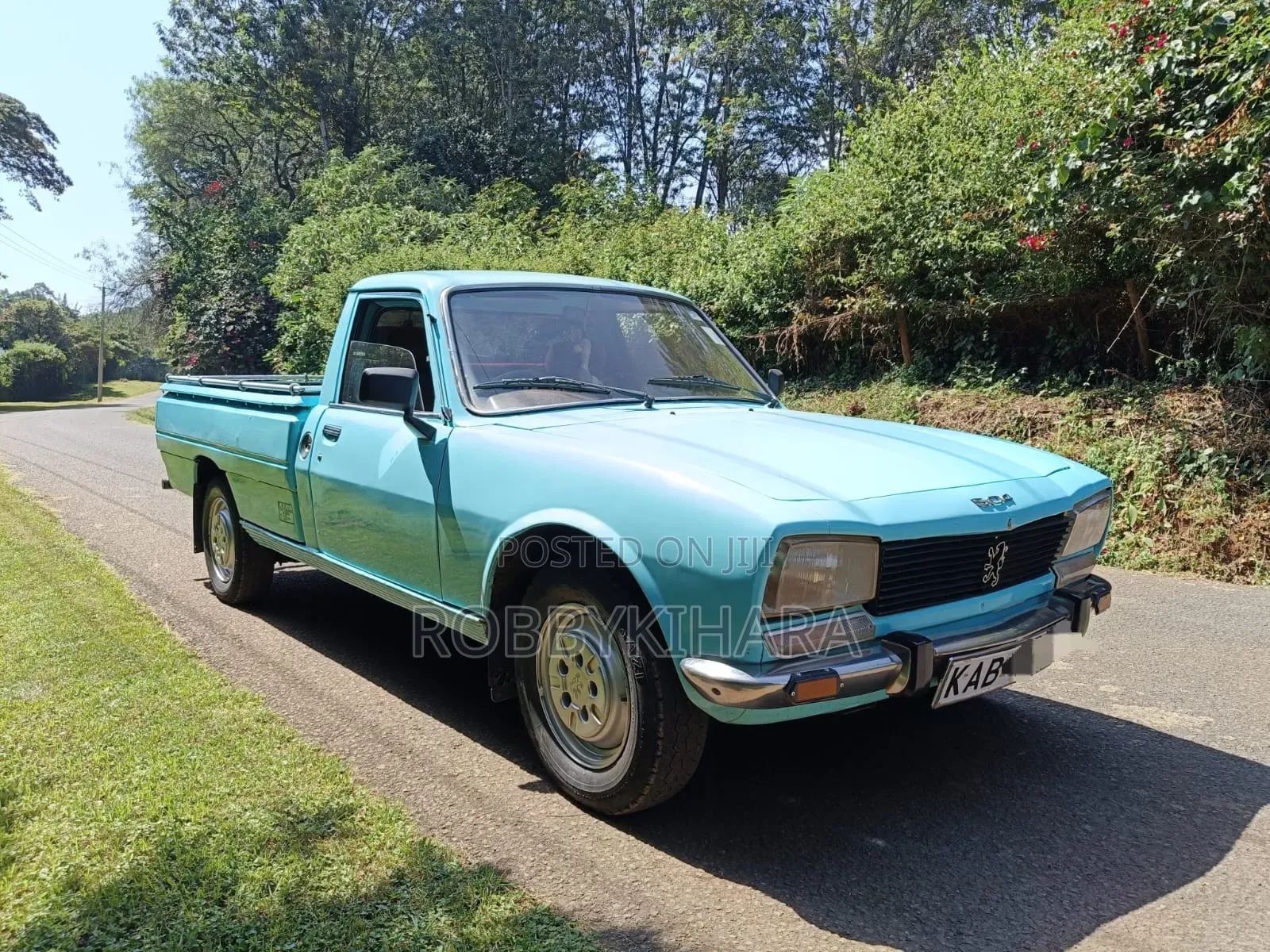 Peugeot 504 1996 Blue