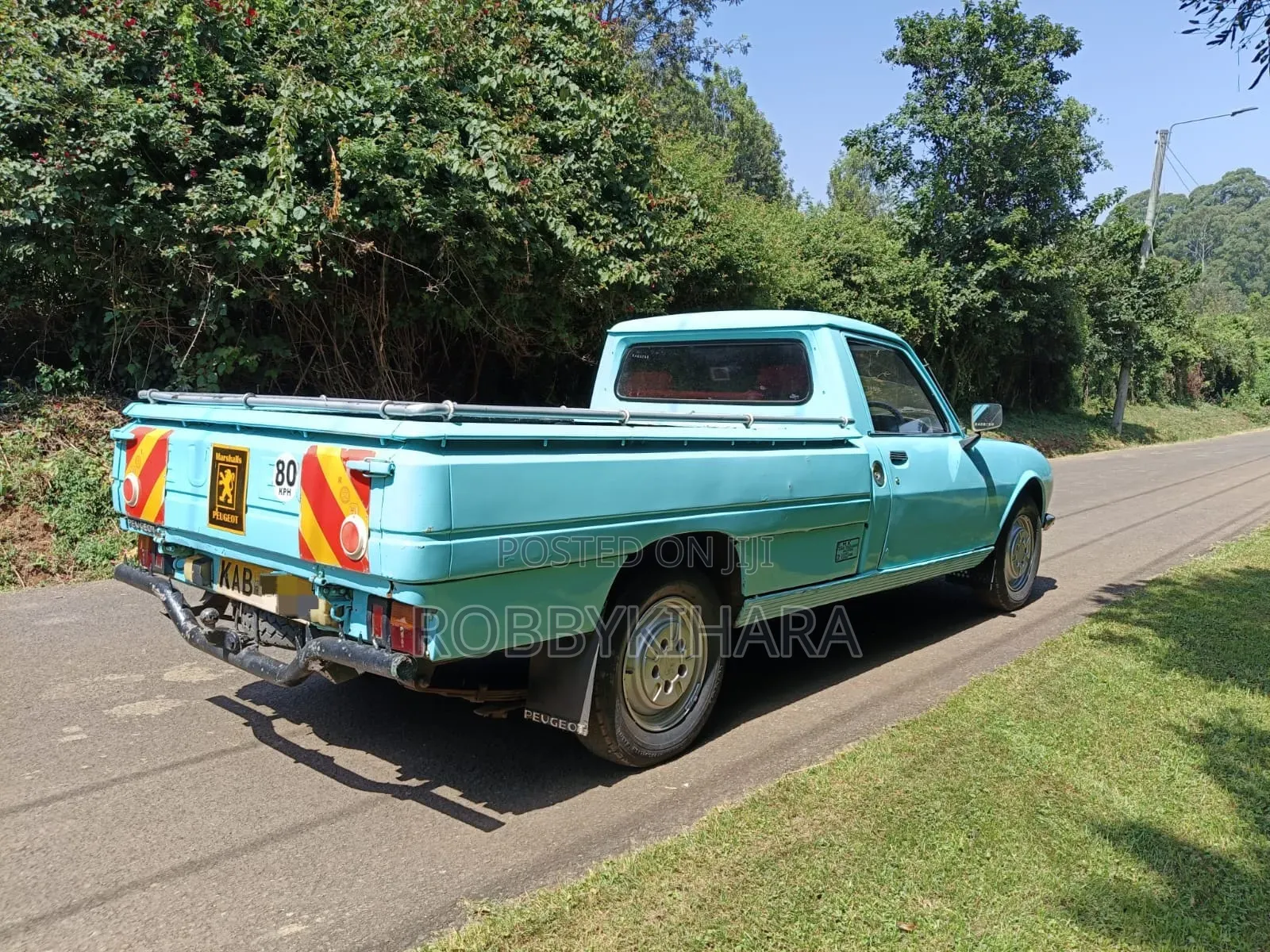 Peugeot 504 1996 Blue