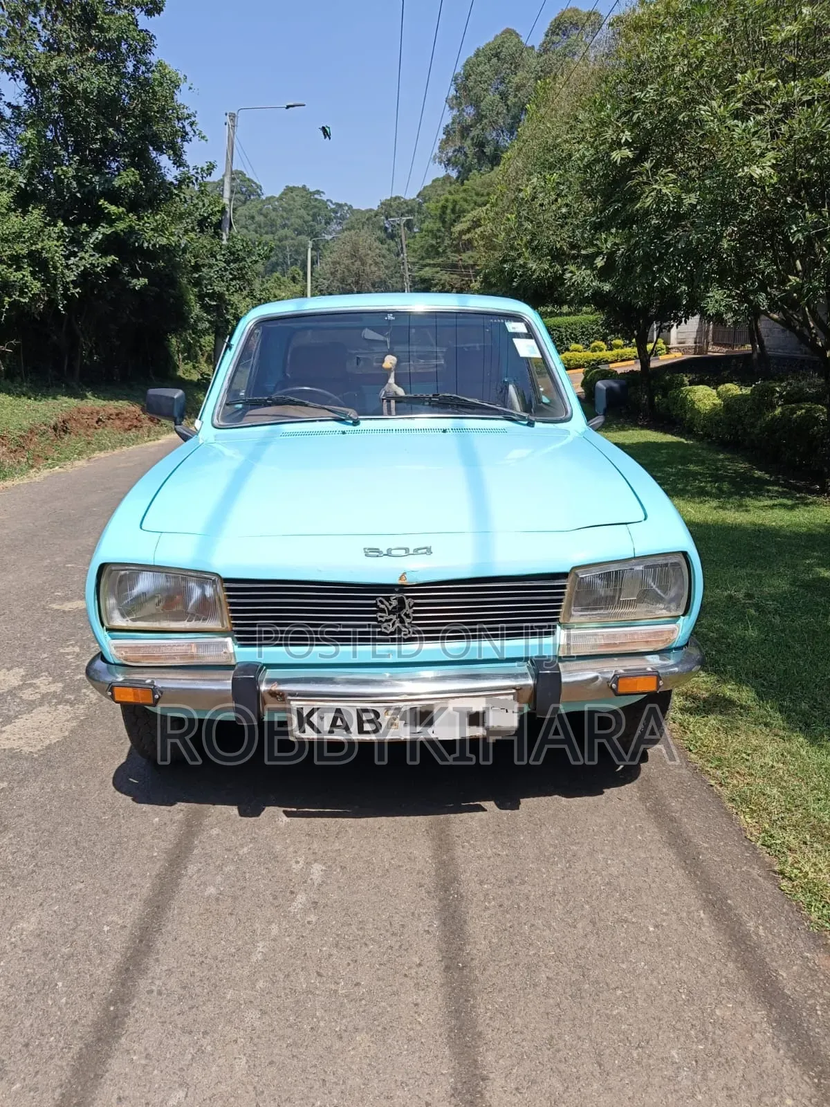 Peugeot 504 1996 Blue