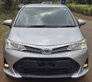 Toyota Axio 2020 Silver