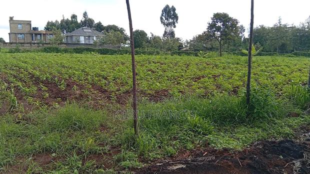 Land for Sale - thumbnail 8