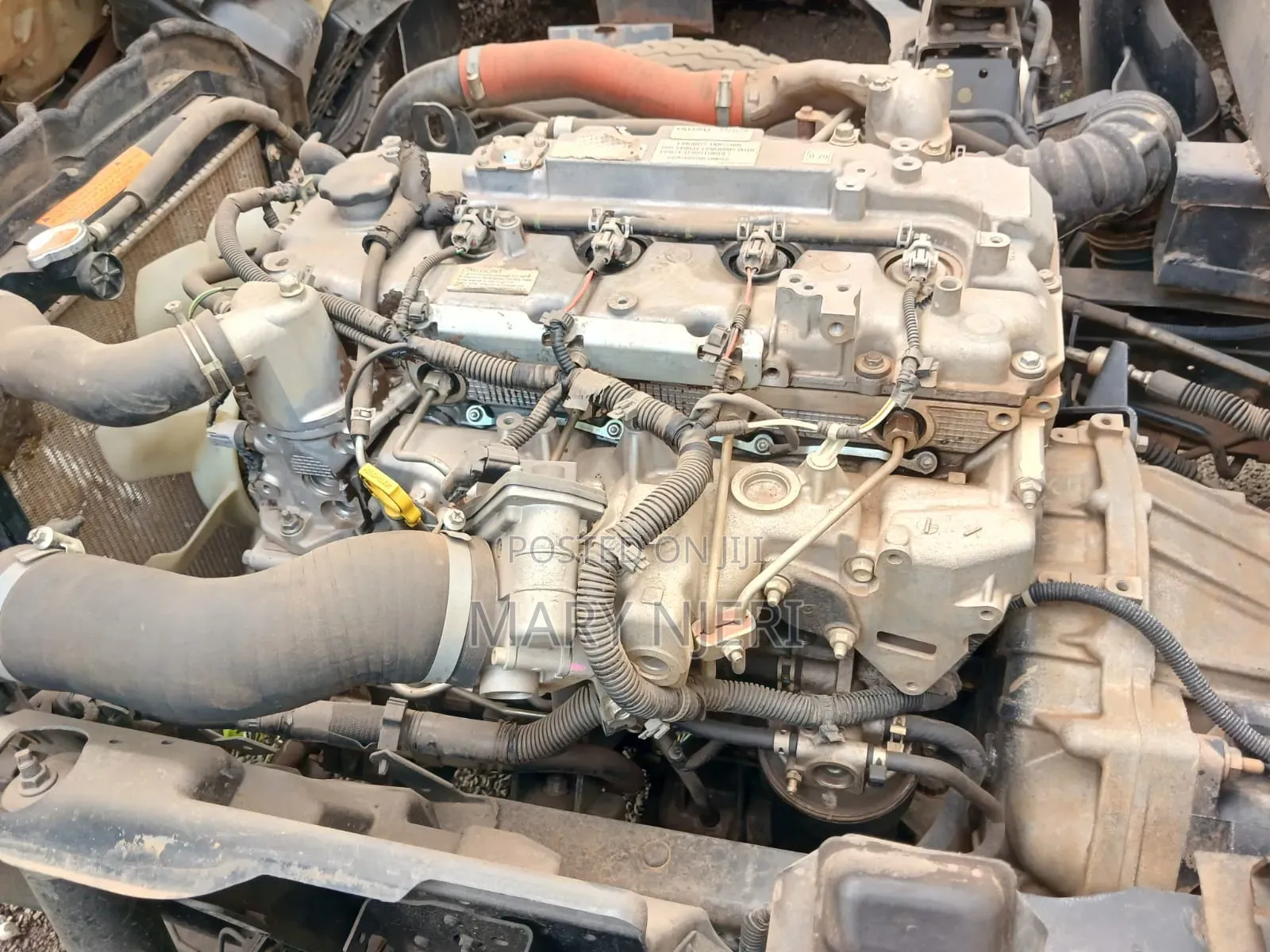 Iisuzu NMR Truck,2021 White