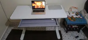 Modern Adjustable Manual Table