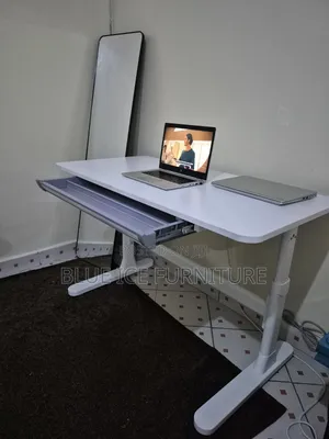 Modern Adjustable Manual Table