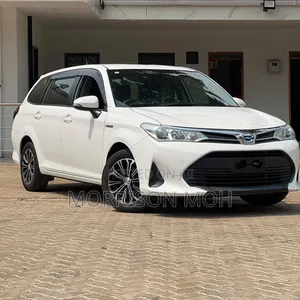 Toyota Corolla Fielder 2019 Black