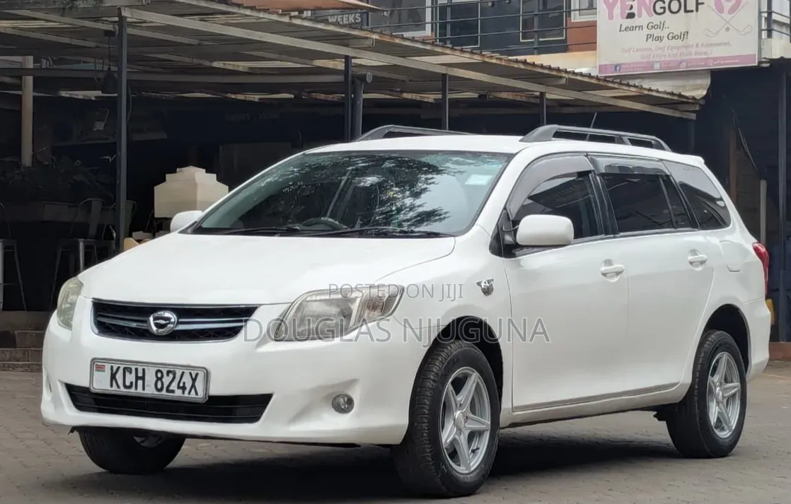 Toyota Corolla Fielder 2009 White