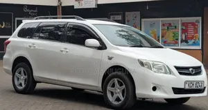 Toyota Corolla Fielder 2009 White