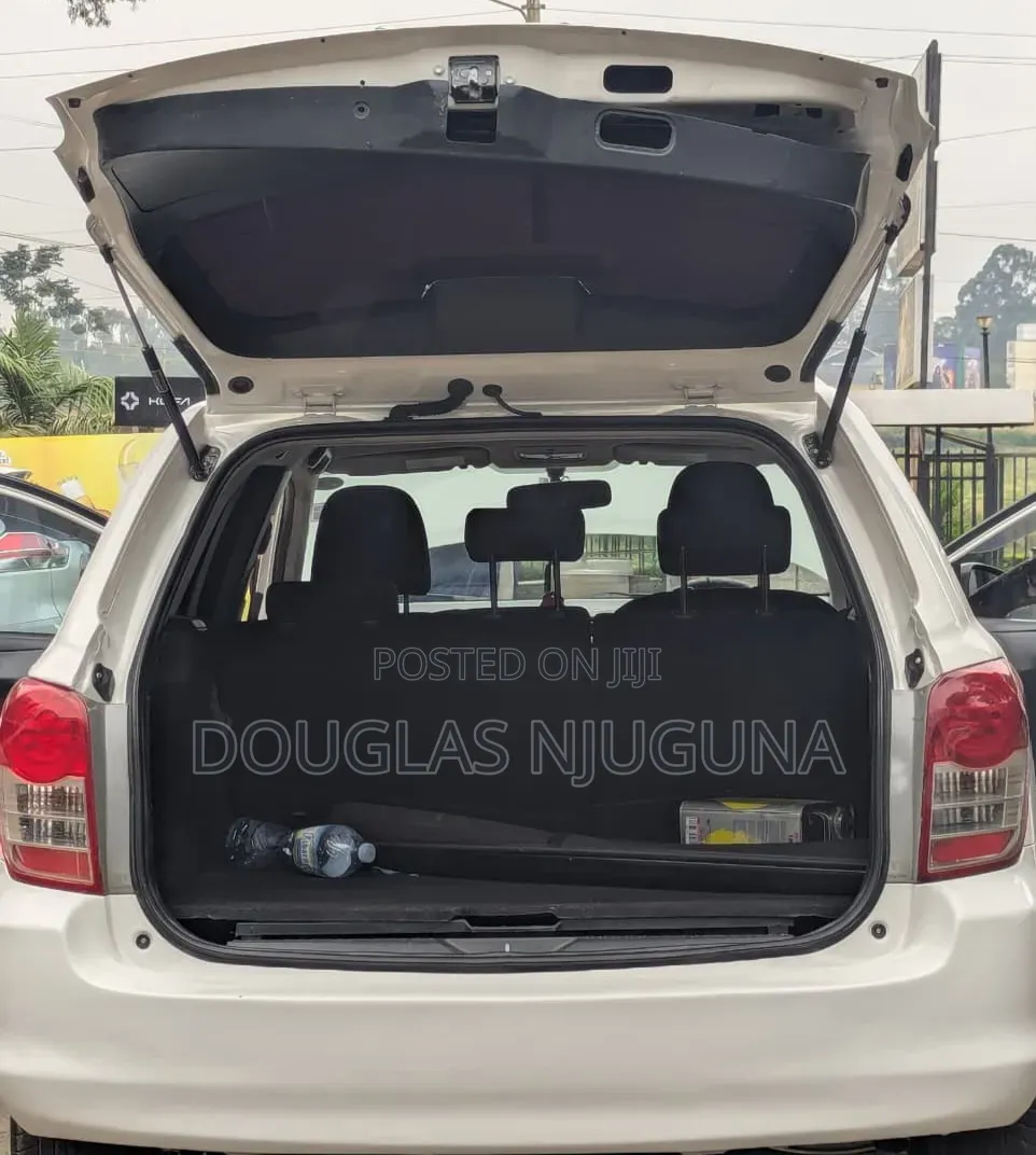 Toyota Corolla Fielder 2009 White