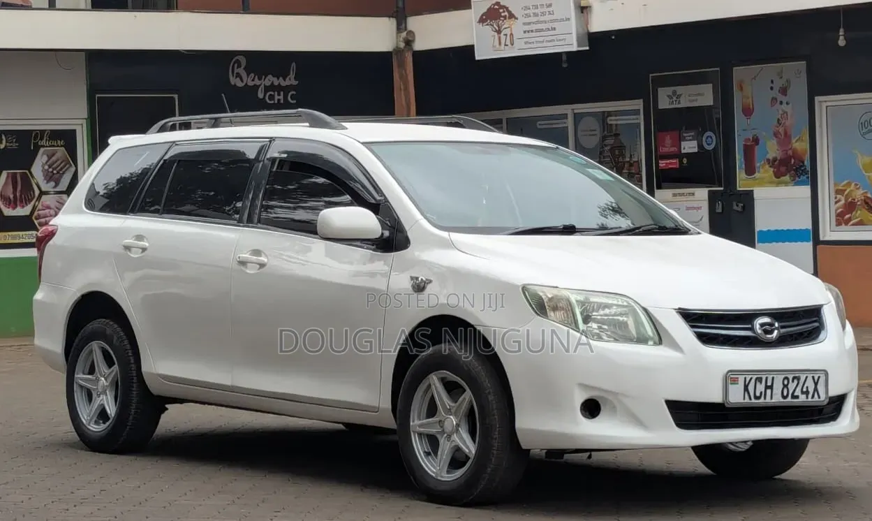 Toyota Corolla Fielder 2009 White