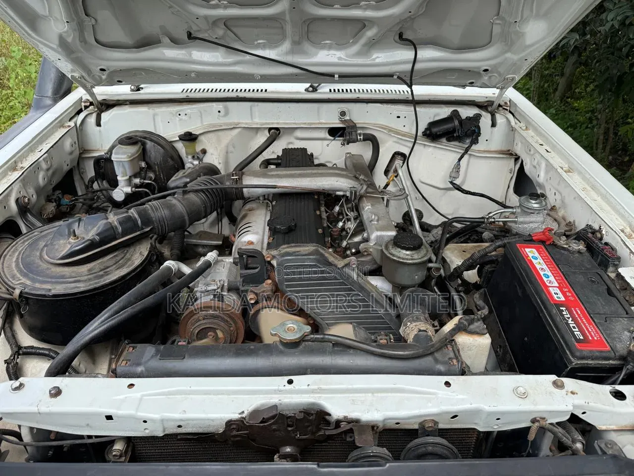 Toyota Land Cruiser 2009 White