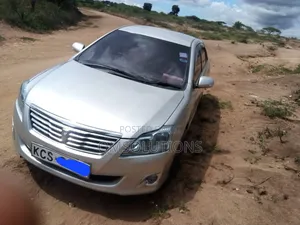 Toyota Premio 2011 Silver