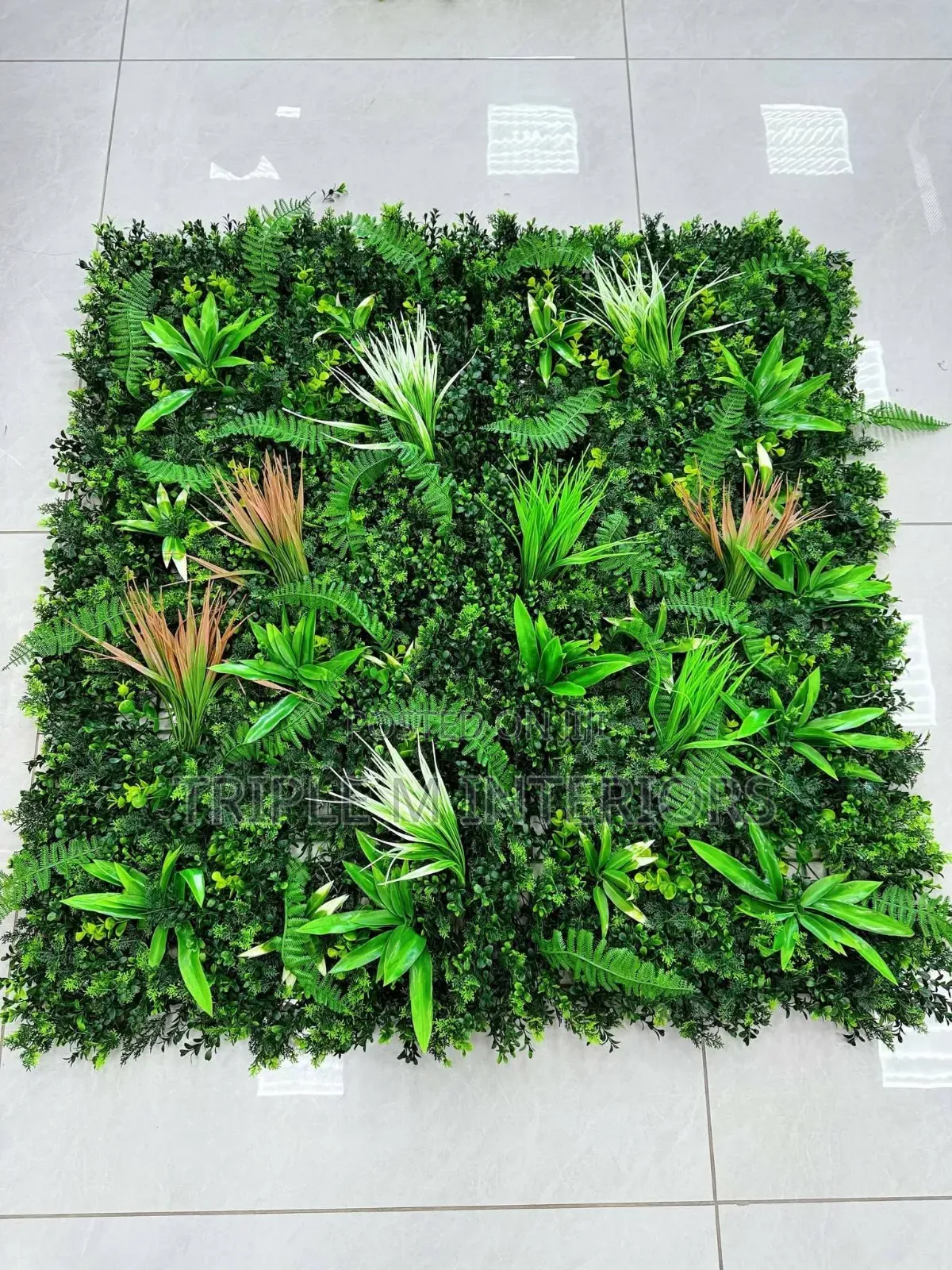 Heavy Boxwood Hedge Panels