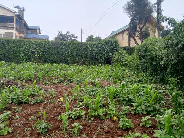 6bdrm Villa in Manguo, Limuru CBD for rent - thumbnail 16